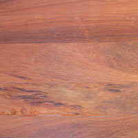 Bloodwood Bloodwood