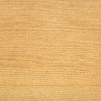 Douglas Fir Douglas Fir
