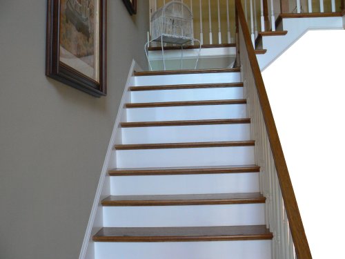 Featured image of post Open Tread Staircase : Open riser stairs are quickly becoming the more attractive option for custom staircases.